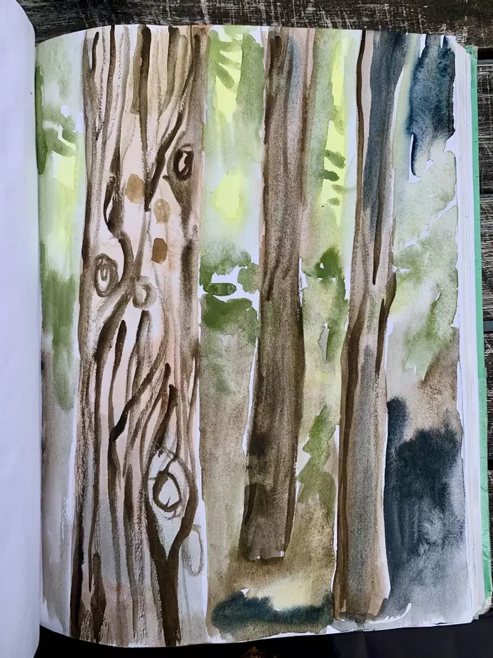 a sketchbook page featuring a painting of trees in the forest. The tress are painted with brown, blues and green watercolour with some pale yellow chalk pastel in the background .